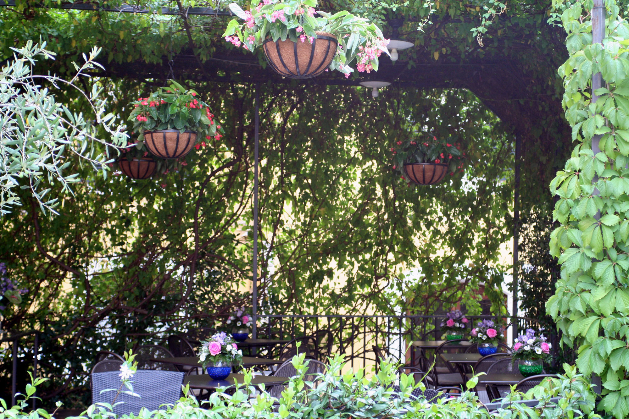 Hotel Charleston Spolète Extérieur photo